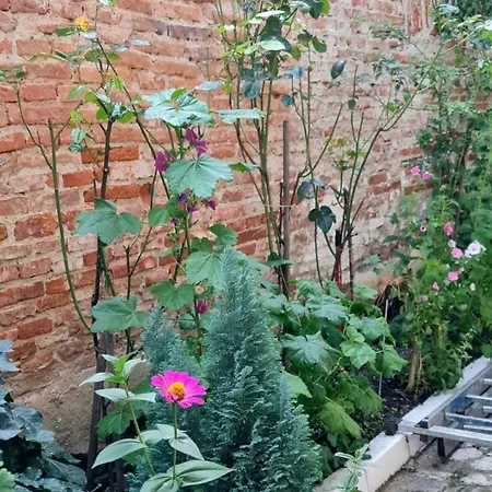 Black Church 布拉索夫