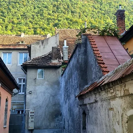 Black Church 公寓 布拉索夫