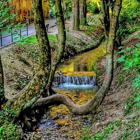 Black Church * 布拉索夫