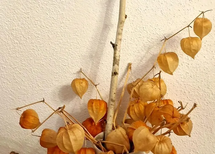 Black Church Apartman *