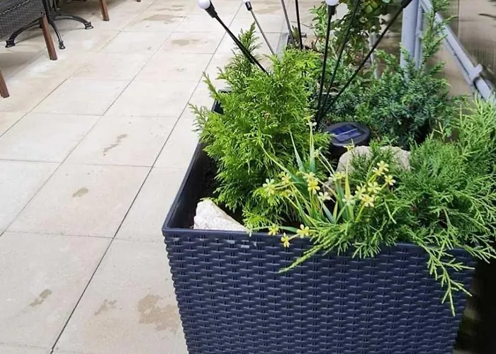 Apartman Black Church *