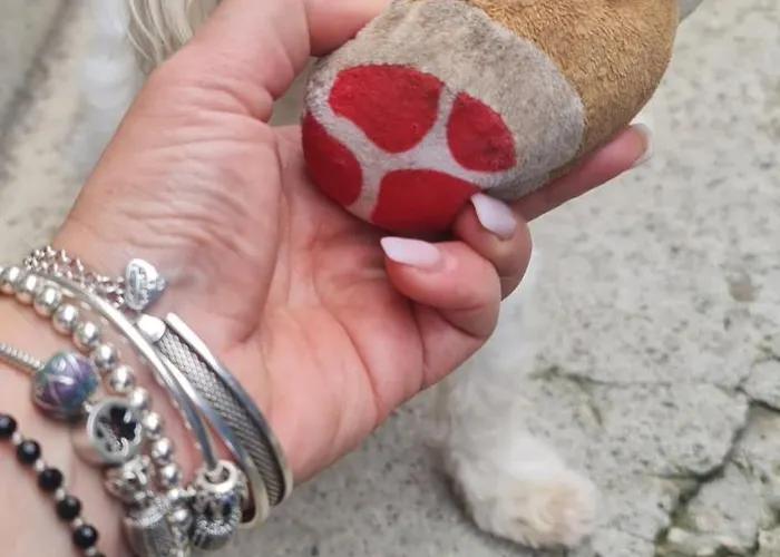 Apartman Black Church