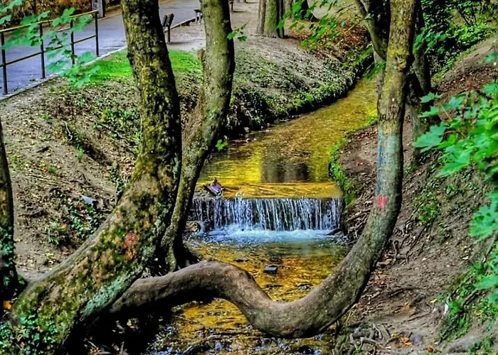 Black Church * Brasov